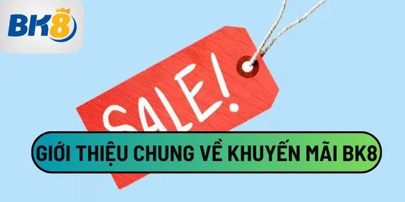 Giới thiệu chung về khuyến mãi BK8