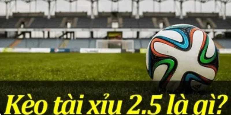 Tài Xỉu 2.5 - Hướng Dẫn Cách Chơi và Mẹo Hiệu Quả